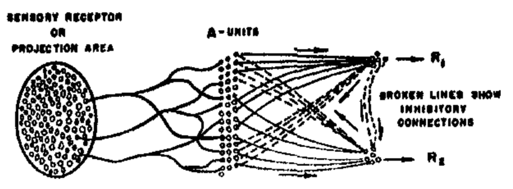 A Perceptron